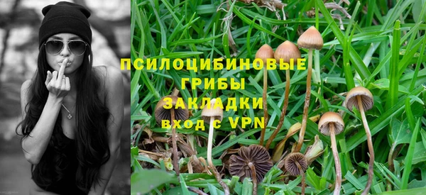 альфа пвп Бородино