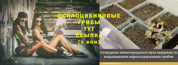 альфа пвп Бородино