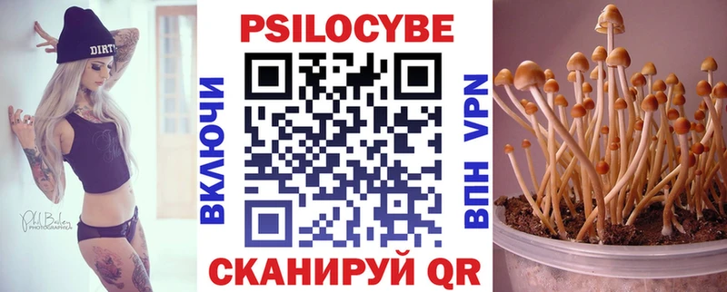 Псилоцибиновые грибы мухоморы  Купить закладки  Малоярославец 